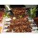 Churrasco Grill type CM17 (op houtskool)